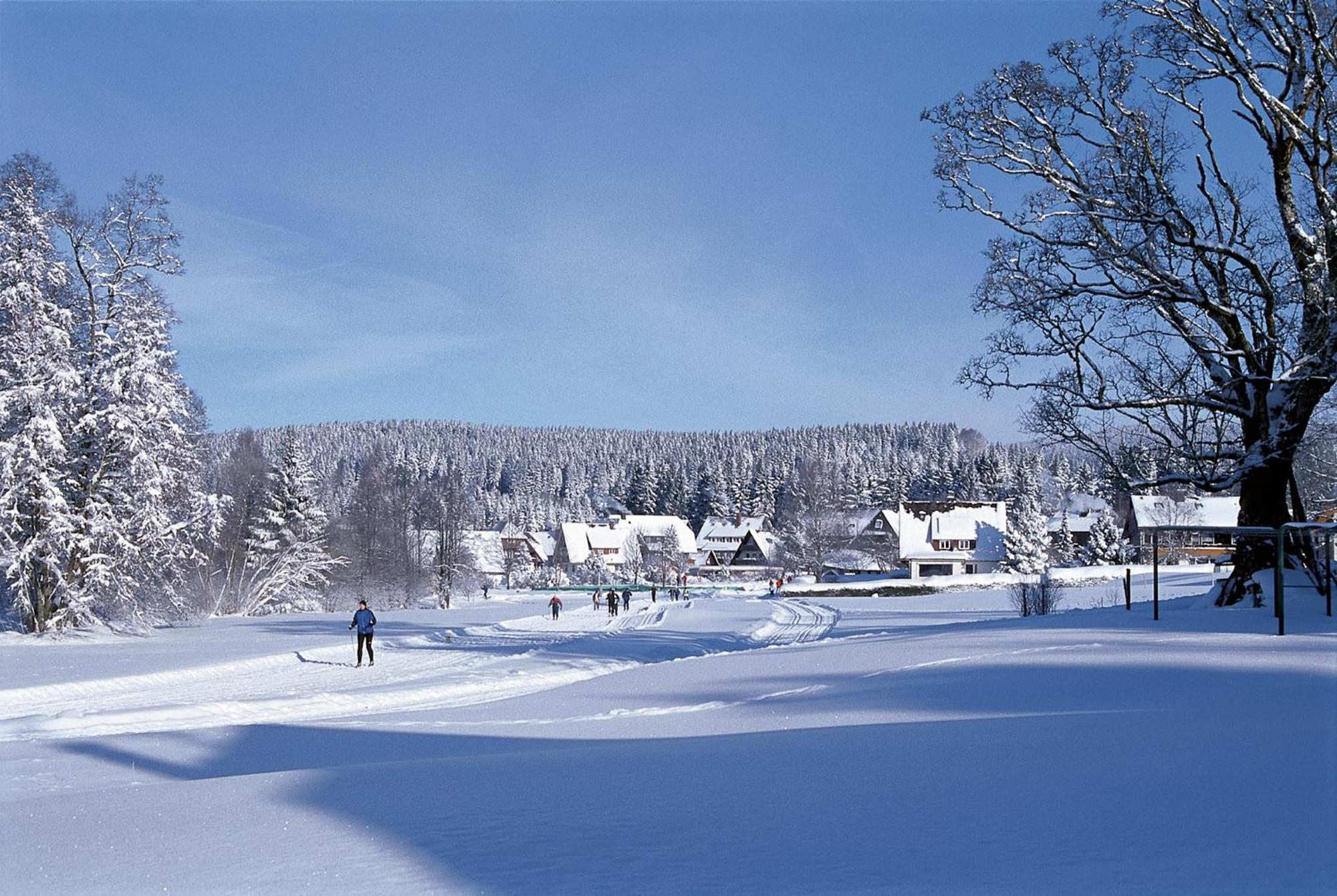 Drei Tannen - Wohnung 09 - Apartmenthaus, Titisee, Feldberg Exteriör bild