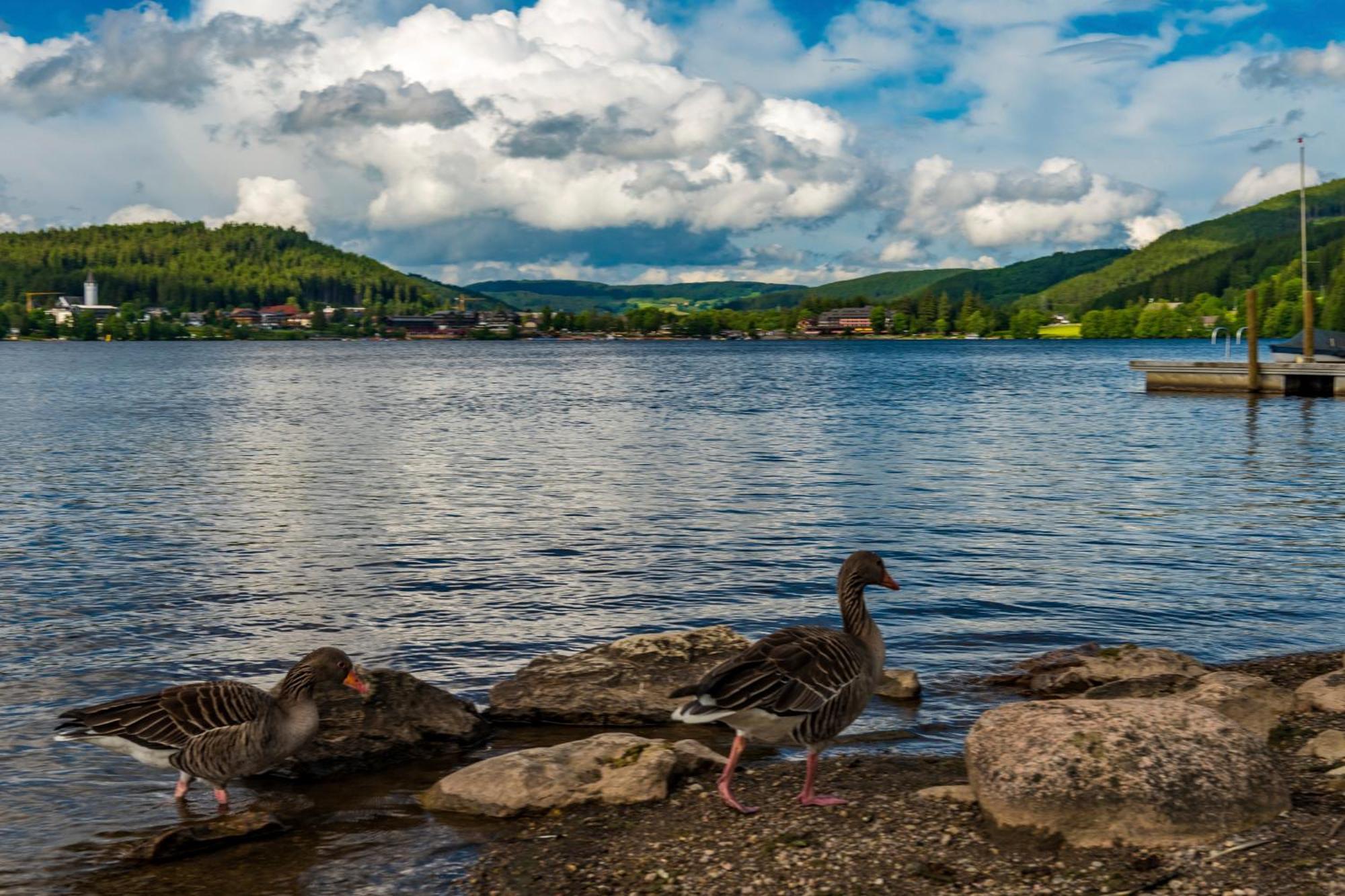 Drei Tannen - Wohnung 09 - Apartmenthaus, Titisee, Feldberg Exteriör bild
