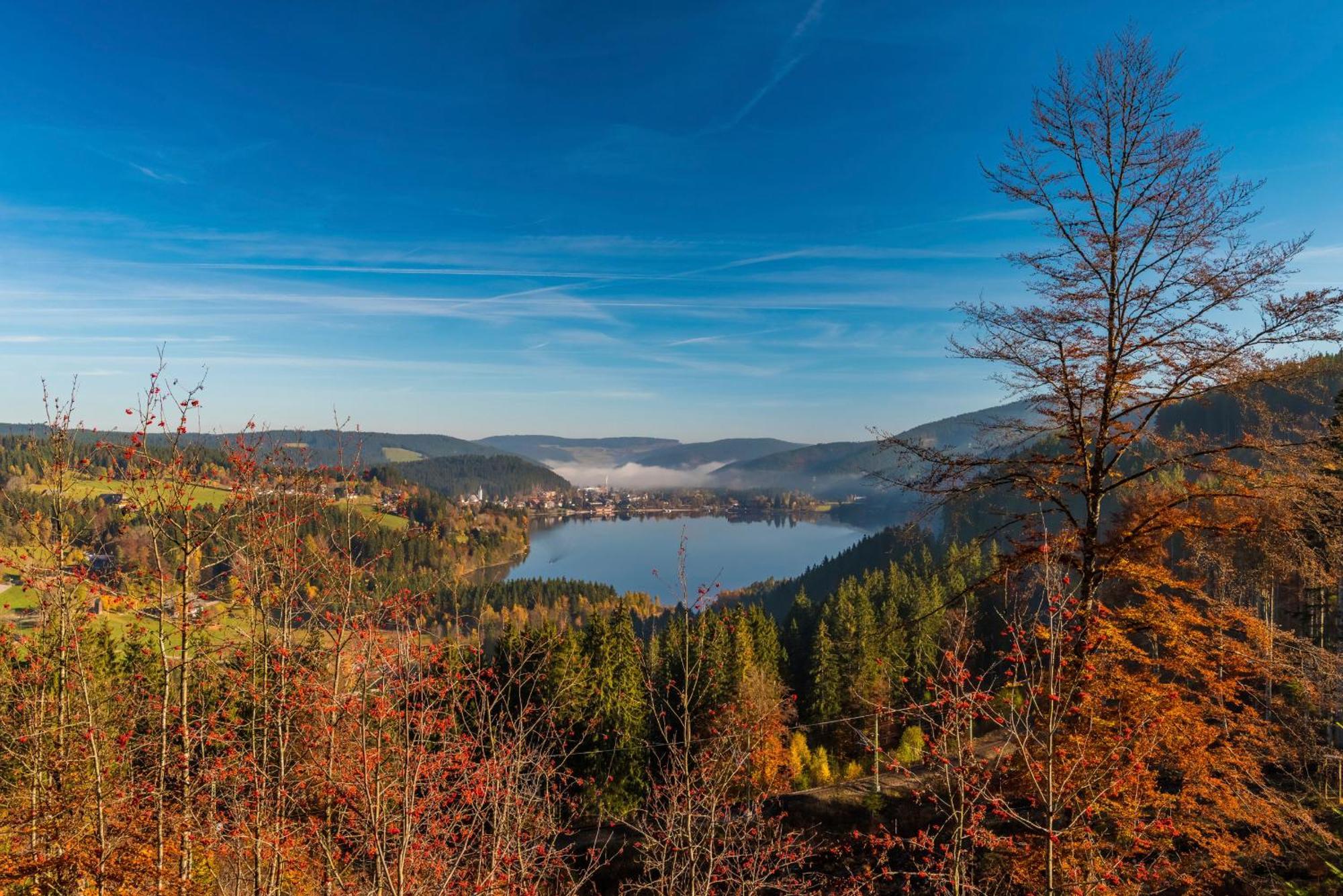 Drei Tannen - Wohnung 09 - Apartmenthaus, Titisee, Feldberg Exteriör bild