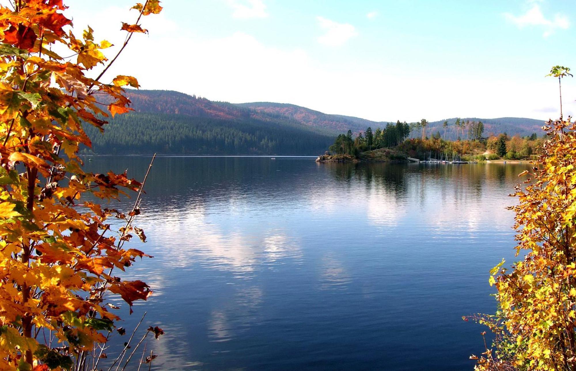 Drei Tannen - Wohnung 09 - Apartmenthaus, Titisee, Feldberg Exteriör bild